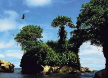 Parque Nacional Natural Uramba